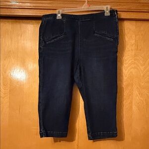 Pilcro and the Letterpress Dark Blue Capris